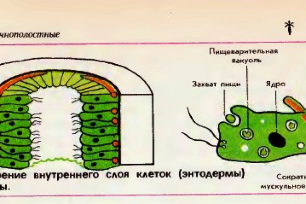 Кракен официальное зеркало 2024